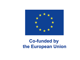Co-funded by the European Union