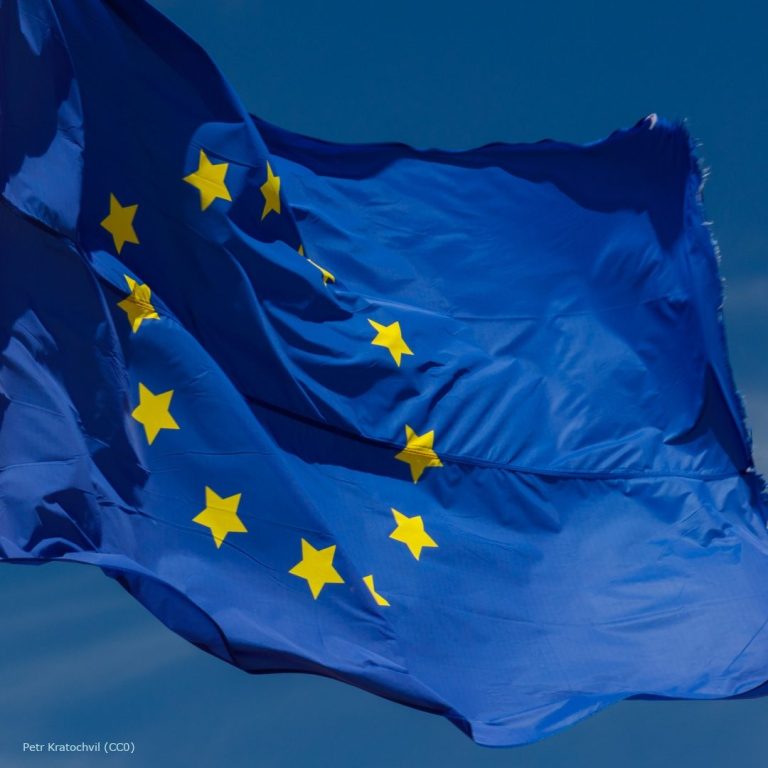 Im Wind flatternde EU-Flagge